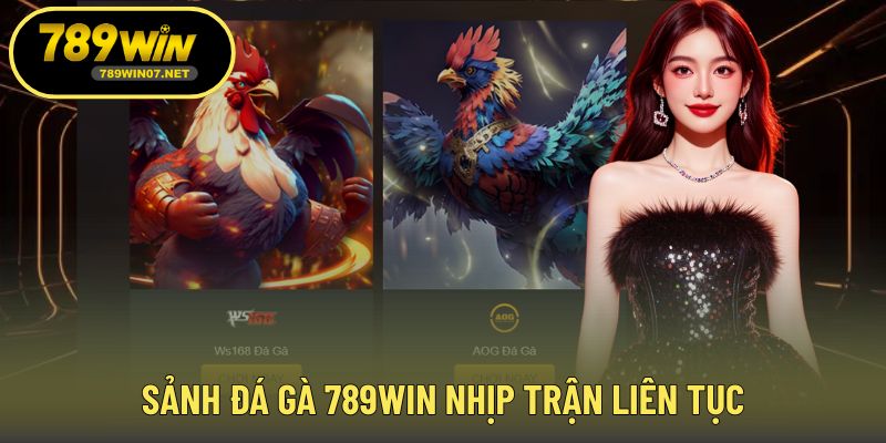 Sảnh đá gà 789WIN nhịp trận liên tục